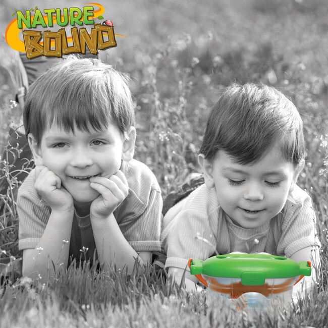 Nature Bound: Critter Box - Outdoor Games - 5