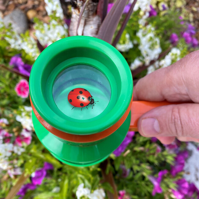 Nature Bound: Bug Catcher & Viewer - Outdoor Games - 7