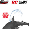 Hyper Drive: RC Shark - Remote Control - 4