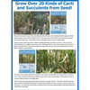 Unique Gardener: Desert Escape Growarium - Arts & Crafts - 7