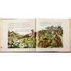 The Classic Tale of Peter Rabbit Leather Bound Classic Children's Book - Books - 4