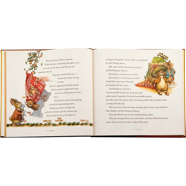 The Classic Tale of Peter Rabbit Leather Bound Classic Children's Book - Books - 5