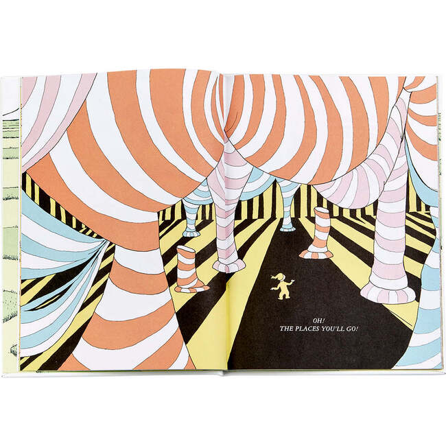 Oh The Places You'll Go! Leather Bound Classic Children's Book - Books - 5