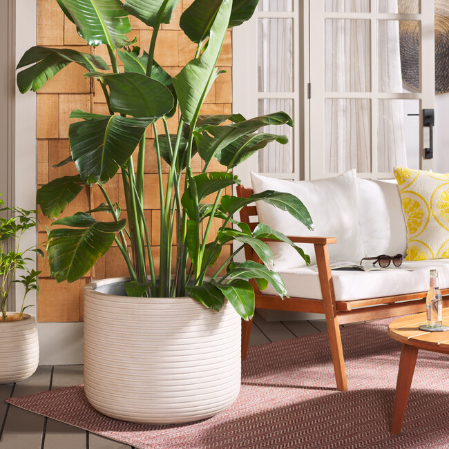 Nardo Large Planter Pot, Beige - Planters - 2