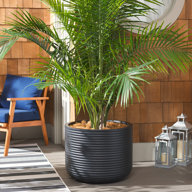 Nardo Large Planter Pot, Black - Planters - 2