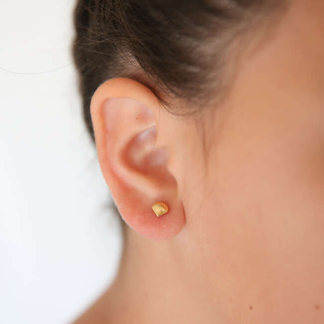 Seashell Stud Earrings, Multi - Earrings - 2