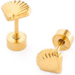 Seashell Stud Earrings, Multi - Earrings - 4