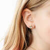Panda Stud Earrings, Multi - Earrings - 2