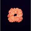 A Leading Role Orange Sparkle Glow Scrunchie - Hair Accessories - 2
