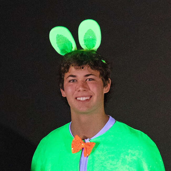 A Leading Role Green Glow Bunny Ears - Hair Accessories - 2