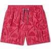 Boardies Las Coloradas Kids Swim Shorts - Swim Trunks - 3