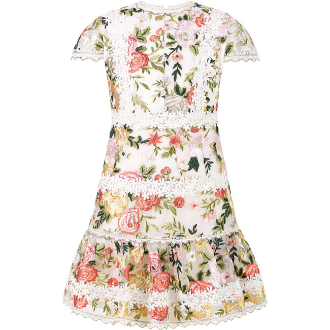 Allure Embroidered Mini Dress, Floral