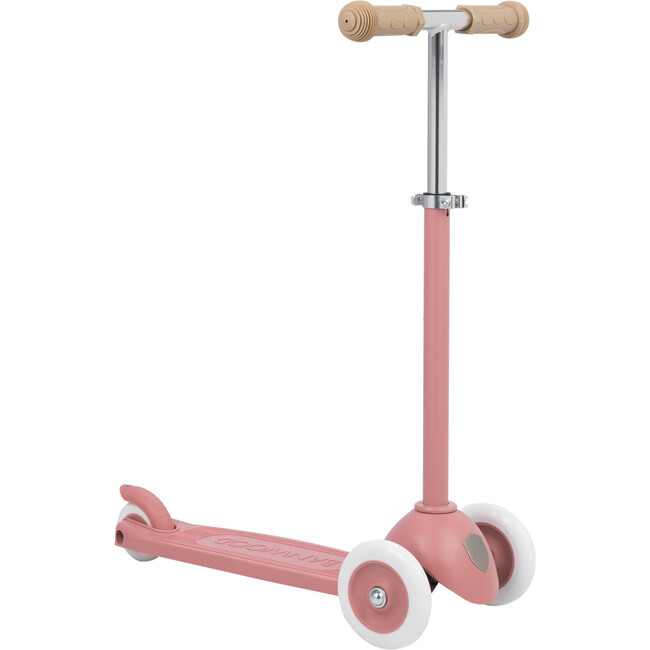 Eco Scooter, Raspberry