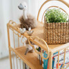 After The Rain Handcrafted Rattan Shelf, Natural - Bookcases - 5