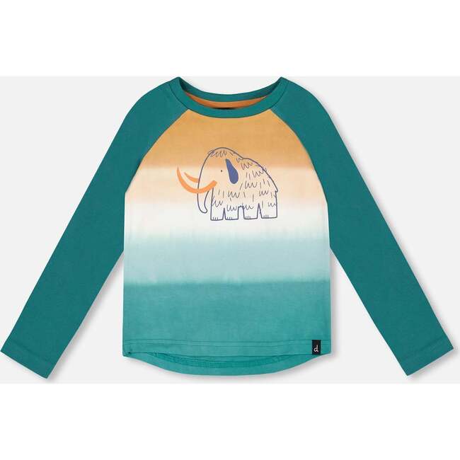 Organic Cotton Jersey Raglan Sleeve T-Shirt, Forest Green