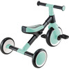 Learning Trike 2in1, Mint - Tricycles - 2