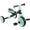 Learning Trike 2in1, Mint - Tricycles - 6