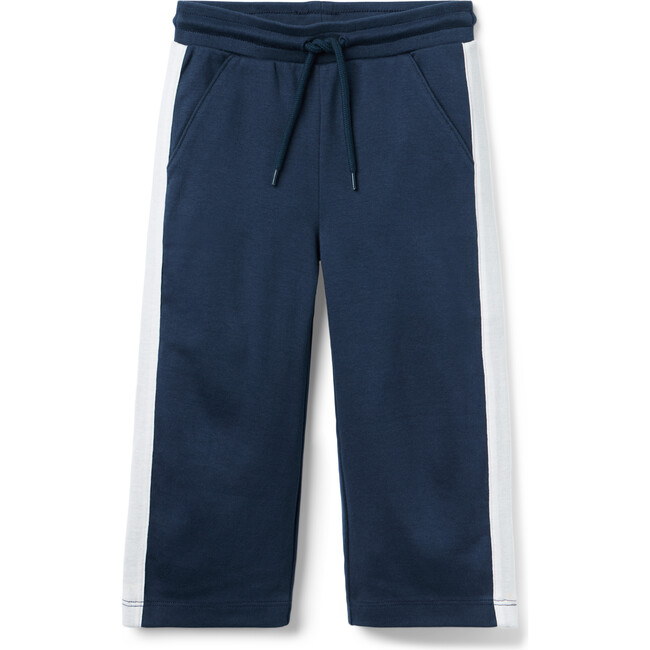 The Stripe Wide Leg Ponte Pant