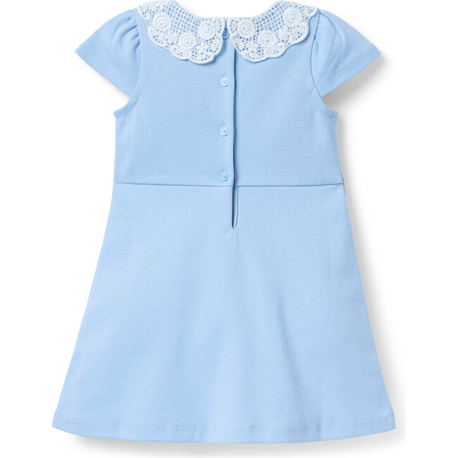 Lace Collar Ponte Dress - Dresses - 2