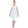 Floral Sleeveless Layered Dress, Blue - Dresses - 4