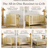 Rolli 9-in-1 Convertible All-Stages® Crib with Bassinet & Toddler Bed Conversion Kits in Pale Yellow - Cribs - 9