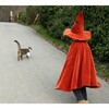 Autum Embers Wizard Cape and Hat - Costumes - 3