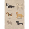 Wall Hanger Dogs - Wall Décor - 1 - thumbnail