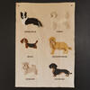 Wall Hanger Dogs - Wall Décor - 3