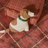 Washable Rug Tartan Vintage Red - Rugs - 3