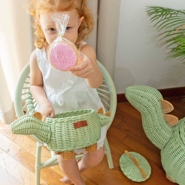 Dinosaur Handcrafted Rattan Decor Basket - Small, Green Mint - Storage Baskets - 4