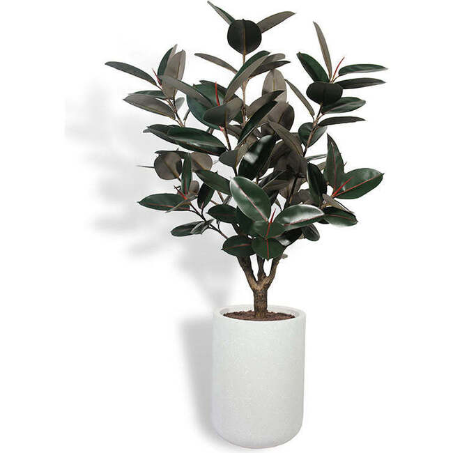 Tree Rubber Pot 5ft