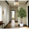Tree Sumac Pot 7ft - Plants - 2