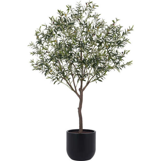 Tree Olive Pot 6.5ft