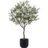 Tree Olive Pot 6.5ft - Plants - 1 - thumbnail