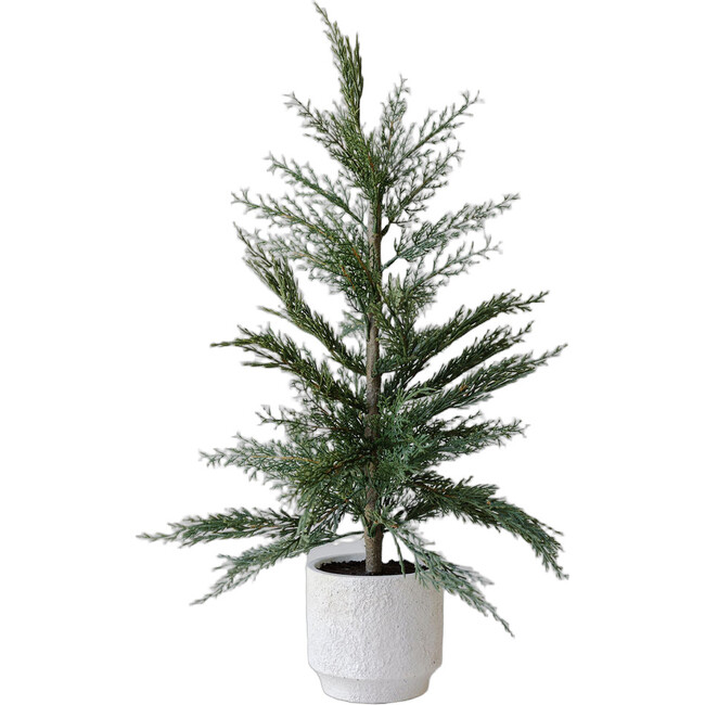 Tree Set of 2 Cedar Pot 2ft