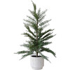 Tree Set of 2 Cedar Pot 2ft - Plants - 1 - thumbnail