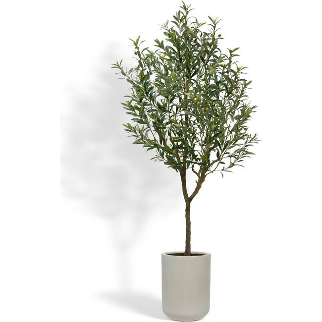Tree Olive Pot 7ft