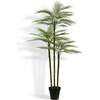 Tree Palm Grower 7ft - Plants - 1 - thumbnail
