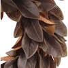 Wreath Magnolia Brown 30in - Wreaths - 3