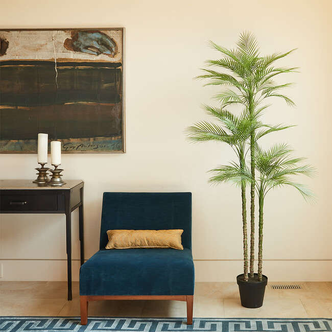 Tree Palm Grower 7ft - Plants - 2