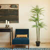 Tree Palm Grower 7ft - Plants - 2