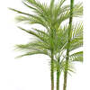 Tree Palm Grower 7ft - Plants - 3
