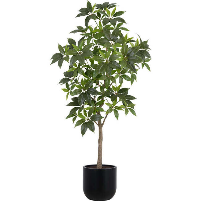 Tree Money Pot 7ft