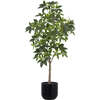 Tree Money Pot 7ft - Plants - 1 - thumbnail