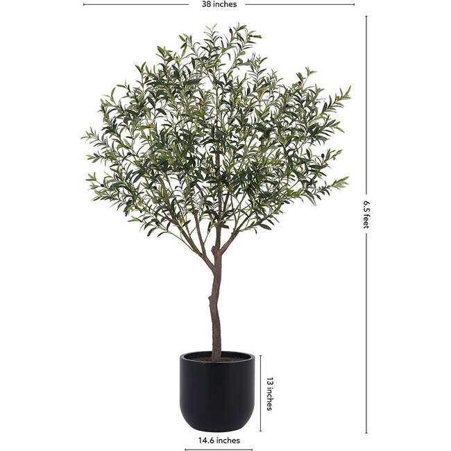 Tree Olive Pot 6.5ft - Plants - 5