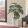 Tree Monstera Pot 4ft - Plants - 3