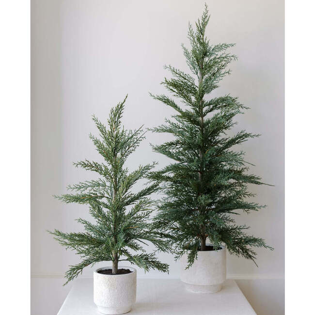 Tree Set of 2 Cedar Pot 2ft - Plants - 4