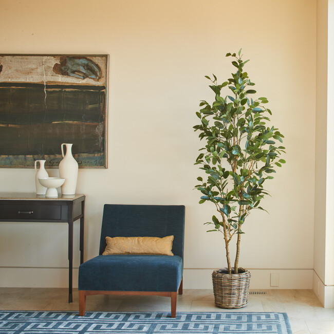 Tree Lemon Grower 7ft - Plants - 2