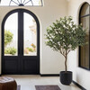 Tree Olive Pot 6.5ft - Plants - 6