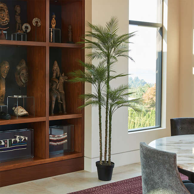 Tree Palm Grower 7ft - Plants - 5
